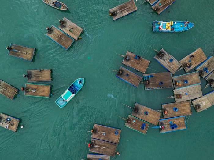 【RCEP财讯】越南连续三个季度成为新加坡第五大水产品出口国 【RCEP财讯】越南连续三个季度成为新加坡第五大水产品出口国