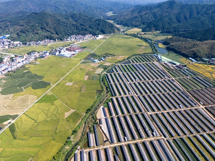 【RCEP财讯】柬埔寨成为首批完成碳中和计划的东盟国家之一 【RCEP财讯】柬埔寨成为首批完成碳中和计划的东盟国家之一