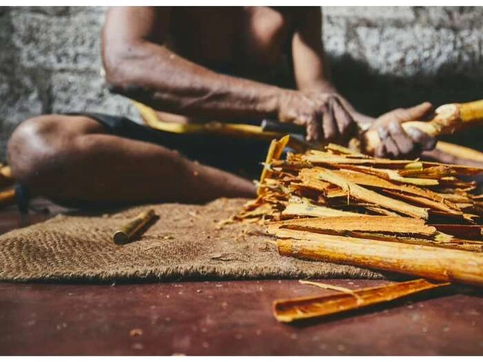 【RCEP财讯】斯里兰卡10月通胀率降至负0.7%,经济持续反弹 【RCEP财讯】斯里兰卡10月通胀率降至负0.7%,经济持续反弹