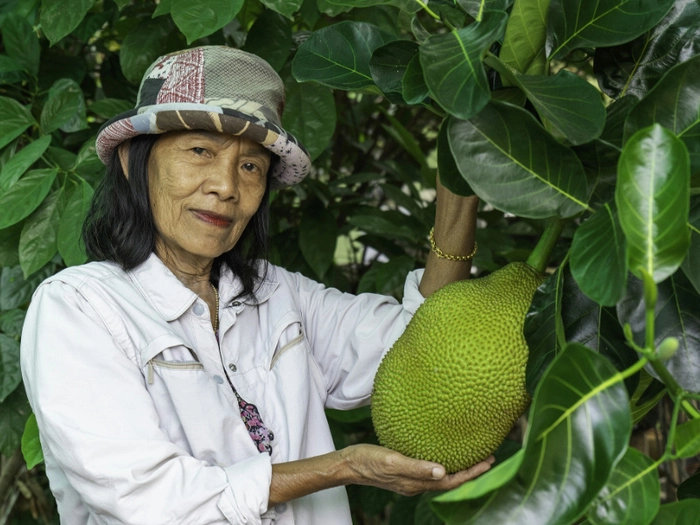 【RCEP财讯】泰国推出“退休彩票”鼓励民众储蓄 【RCEP财讯】泰国推出“退休彩票”鼓励民众储蓄