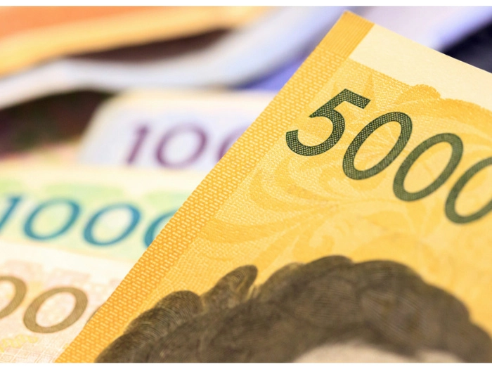 【RCEP财讯】韩国或被迫抛售500亿美元干涉外汇市场应对韩元贬值 【RCEP财讯】韩国或被迫抛售500亿美元干涉外汇市场应对韩元贬值