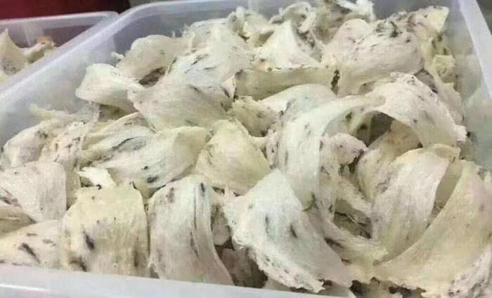 马来西亚燕窝出口恢复 马来西亚燕窝出口恢复