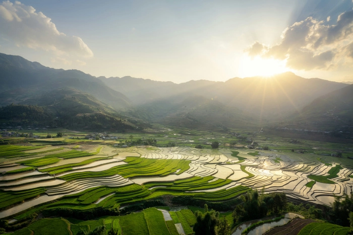 韩国招标采购约7.99万吨大米 韩国招标采购约7.99万吨大米