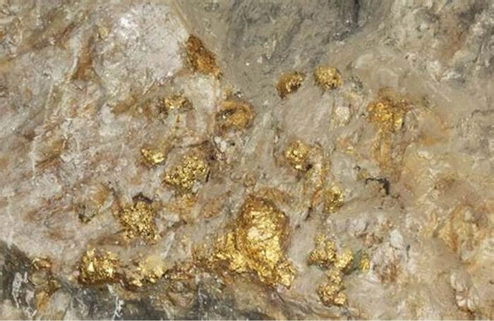 和邦生物通过股权投资获得澳大利亚金矿探矿权 和邦生物通过股权投资获得澳大利亚金矿探矿权