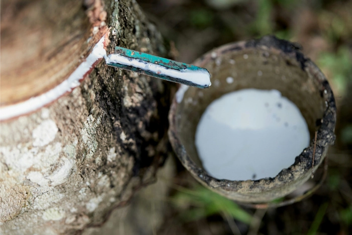 越南2月天然橡胶出口量下降 越南2月天然橡胶出口量下降