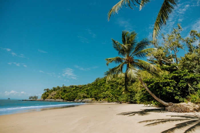 全国首批印尼青椰顺利抵闽  中印尼经贸合作再深化 全国首批印尼青椰顺利抵闽  中印尼经贸合作再深化