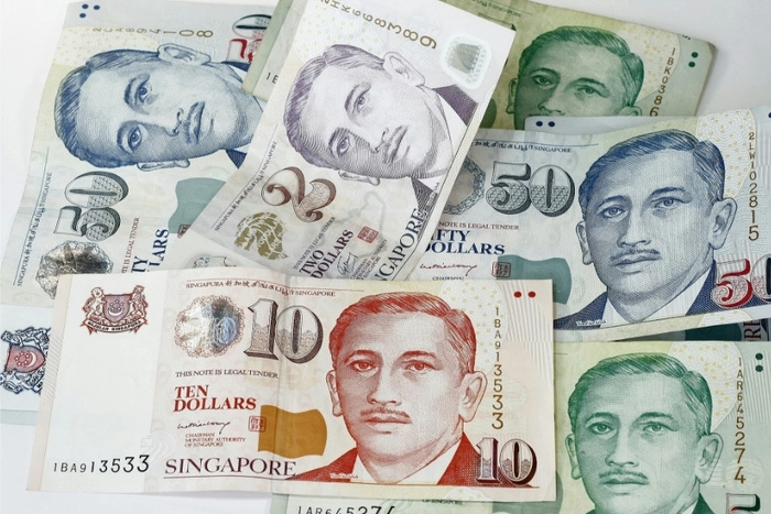 新加坡4月外汇储备增至3892亿美元  零售销售止跌回升