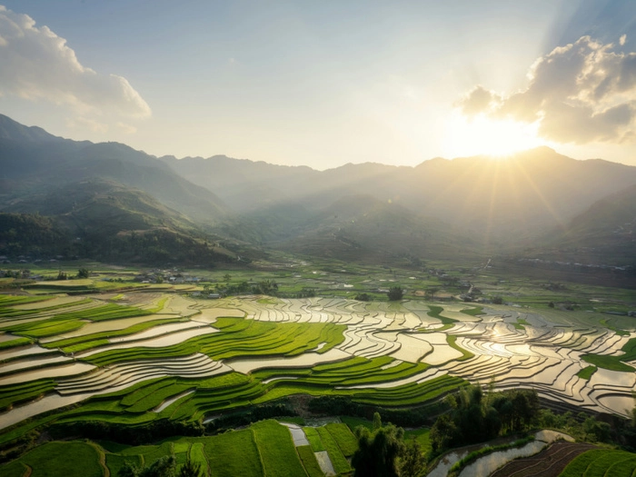 2025年前四个月 柬埔寨出口逾28万吨精米  中国为主要进口国之一 2025年前四个月 柬埔寨出口逾28万吨精米  中国为主要进口国之一