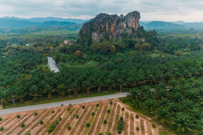 印尼上调棕榈油出口税  5月17日起生效 印尼上调棕榈油出口税  5月17日起生效