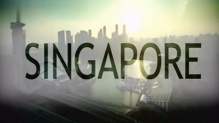 新加坡8月非石油出口下降11.3%  出口前景承压 新加坡8月非石油出口下降11.3%  出口前景承压