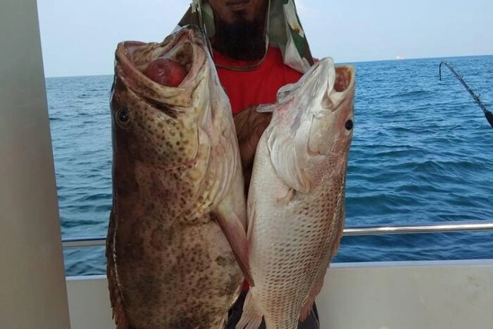 马来西亚去年渔获量增至139万公吨 马来西亚去年渔获量增至139万公吨