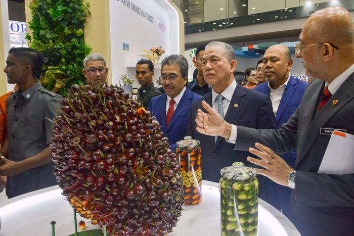 560万公顷产1934万吨  马来西亚棕油产量占全球四分之一