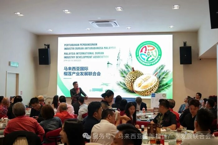 五年构建全产业链 马来西亚国际榴莲产业发展联合会发布2026年发展蓝图 五年构建全产业链 马来西亚国际榴莲产业发展联合会发布2026年发展蓝图
