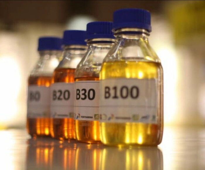 印尼B50生物柴油推广仍受油价与棕油价格影响 印尼B50生物柴油推广仍受油价与棕油价格影响